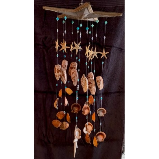 Shell Wind Chime 5