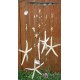 Starfish Wind Chime 7