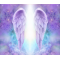 Angel Wing Background 