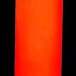 20oz Skull Fairy Tumbler 20oz Skull Fairy Tumbler