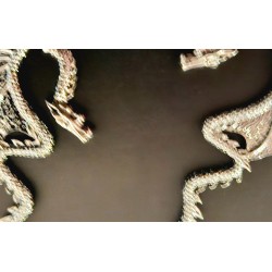 Earrings Dragon 2 Piece