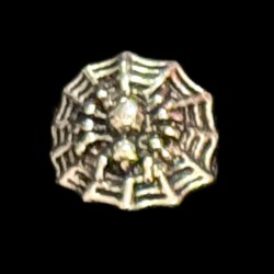 Spider Web Ring