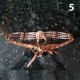 Native Indian Breastplate Choker Native Indian Breastplate Choker